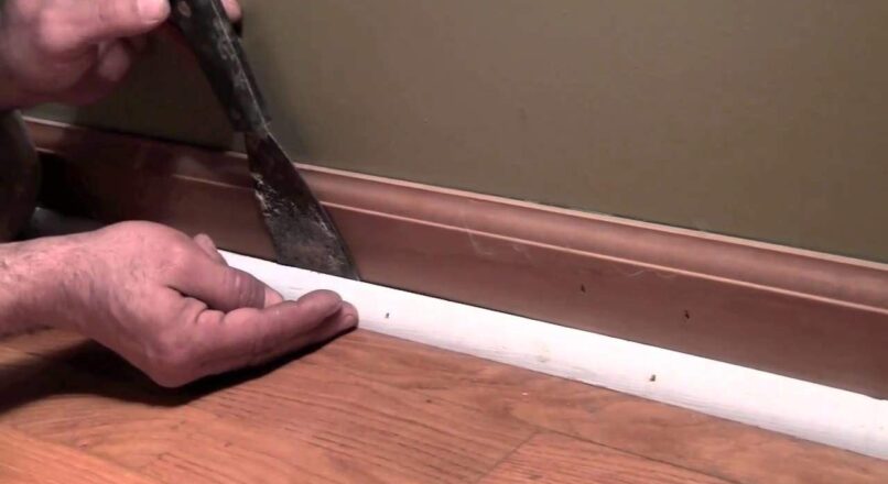 How to safely remove trim without breaking it